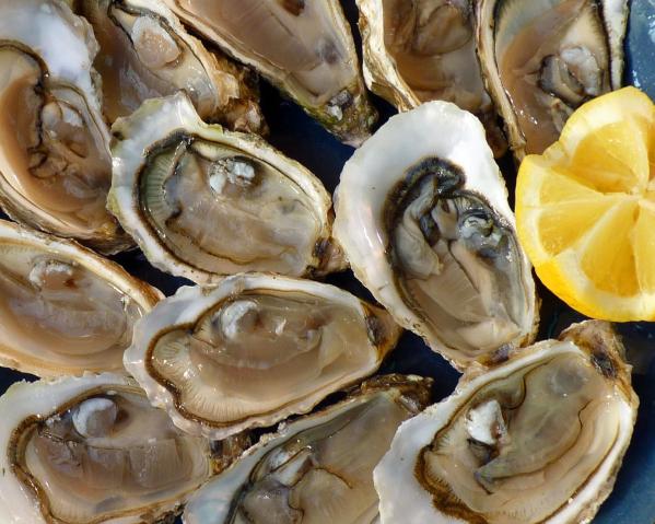 oysters-1958668_1280.jpg
